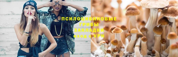 дурь Кинешма