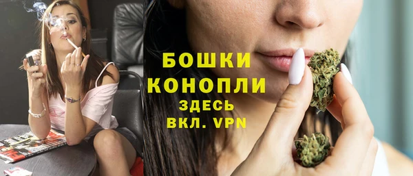 прущие грибы Киреевск