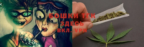 дурь Кинешма
