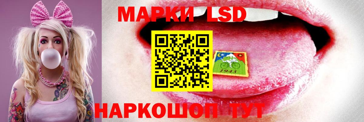 МЕФ Корсаков