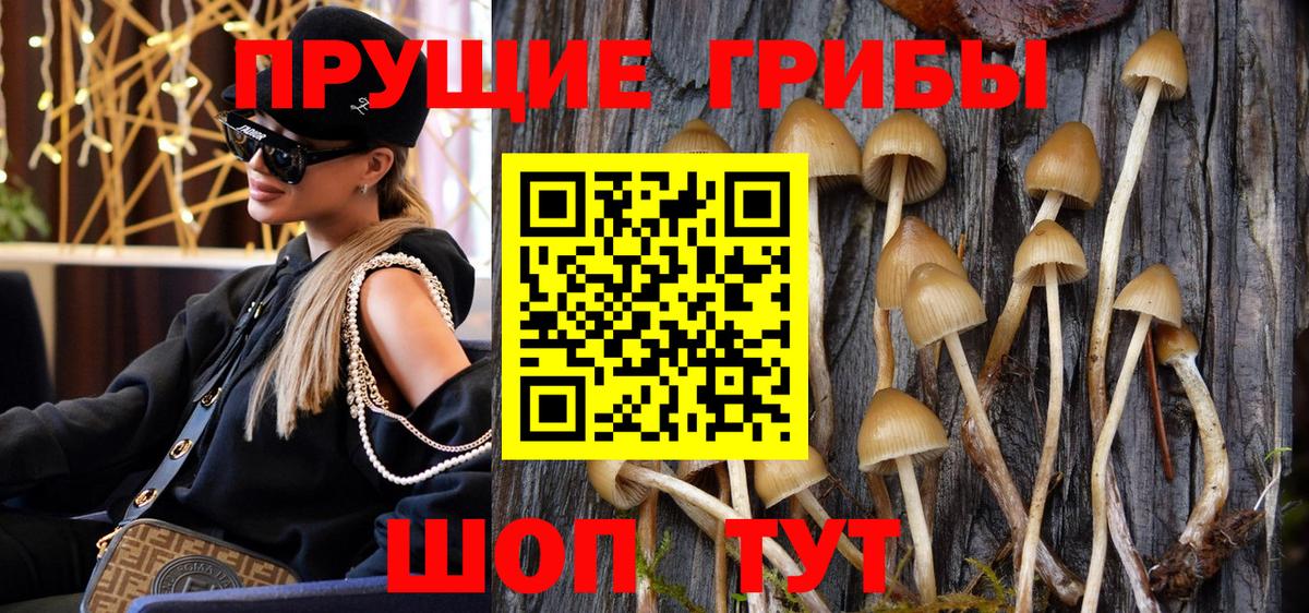 Псилоцибиновые грибы мухоморы Корсаков
