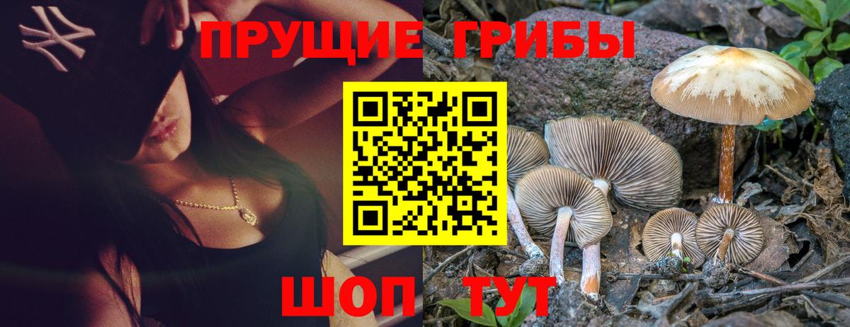 Галлюциногенные грибы Magic Shrooms  Вход с VPN  Корсаков 